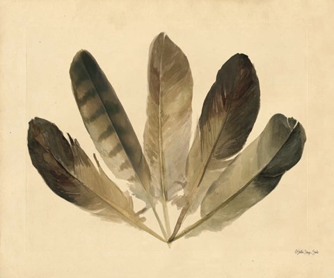 Framed Five Feathers Print