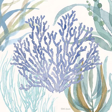 Framed Soft Shores VIII Print