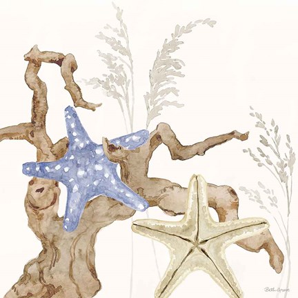 Framed Soft Shores II Print