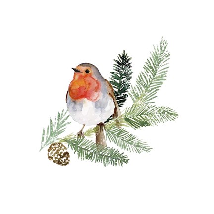 Framed Winter Visitor II Print