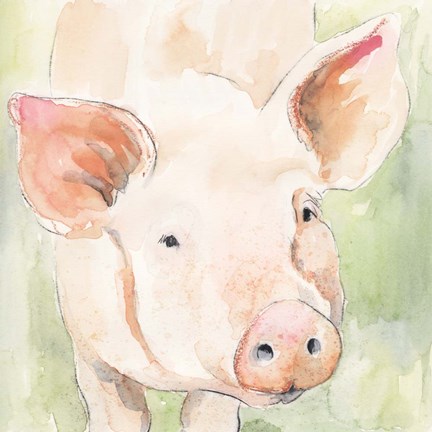 Framed Sunny the Pig II Print