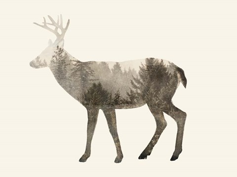 Framed Wilderness IV Print