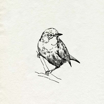 Framed Bird Feeder Friends III Print