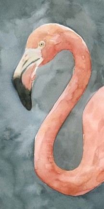 Framed Flamingo Study II Print