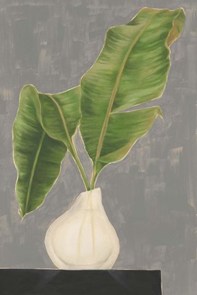 Framed Frond in Vase III Print