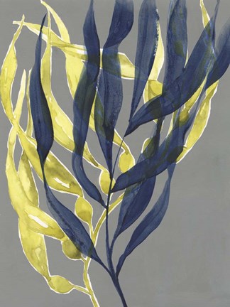 Framed Kelp Embrace II Print