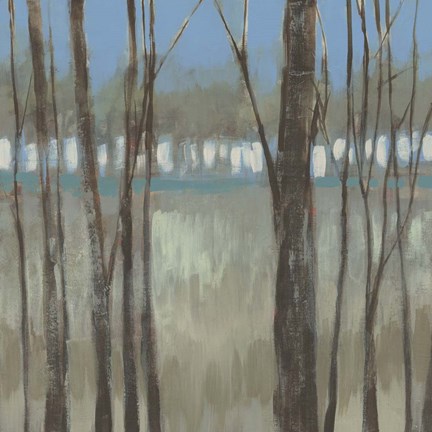 Framed Within the Trees I Print