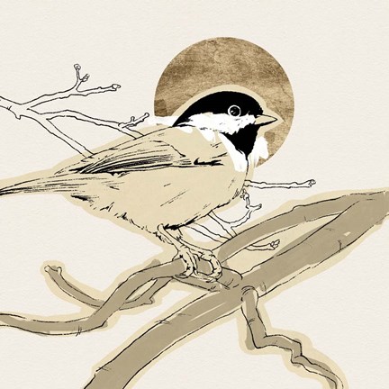 Framed Spring Passerine III Print