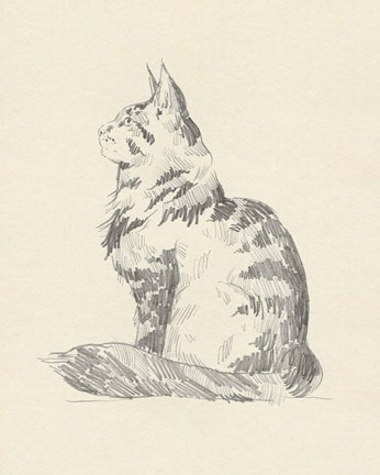 Framed House Cat II Print