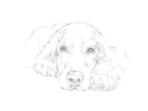 Framed Lazy Dog II Print