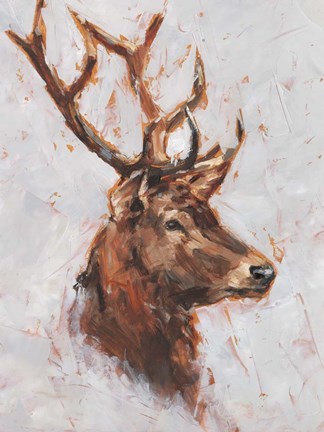 Framed Stag Study II Print