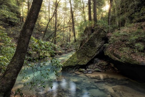Framed Filtered Light I Print