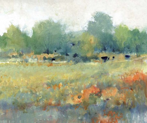 Framed Rural Land II Print