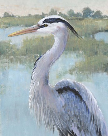 Framed Blue Heron Portrait I Print