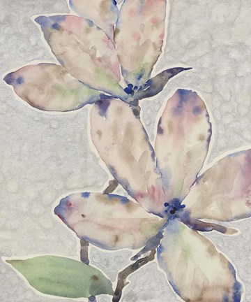 Framed Blossom Study I Print