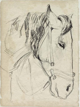 Framed Horse in Bridle Sketch I Print