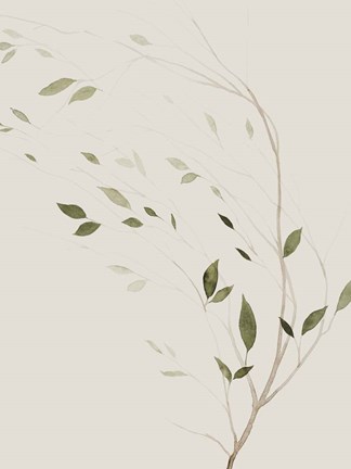 Framed Wind's Whisper II Print