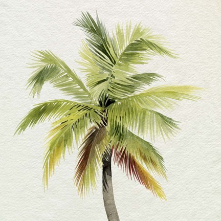 Framed Coco Watercolor Palm I Print
