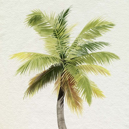 Framed Coco Watercolor Palm II Print