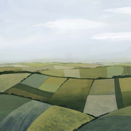 Framed Sylvan State I Print