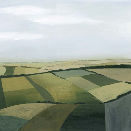 Framed Sylvan State II Print