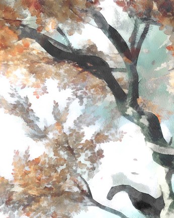 Framed Fall Tree II Print