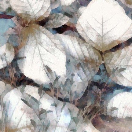 Framed Neutral Summer Leaves I Print