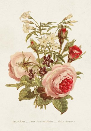 Framed Antique Floral Bouquet III Print
