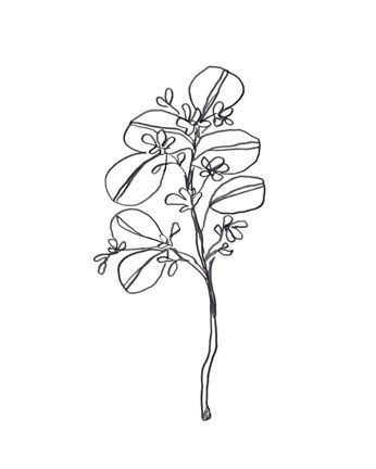 Framed Leaf Sprig II Print