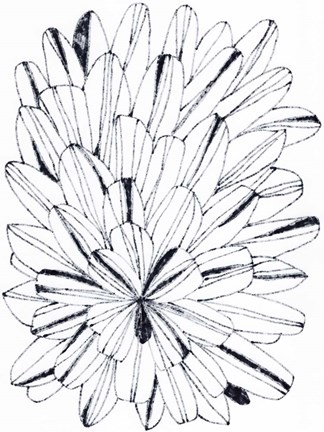 Framed Monochrome Kaleidoscope I Print