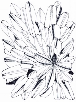 Framed Monochrome Kaleidoscope II Print