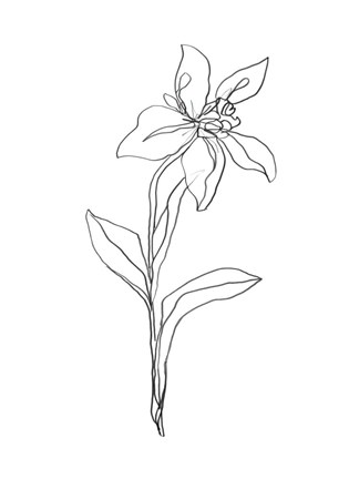 Framed Simple Daffodil I Print