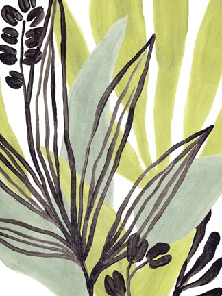 Framed Tropical Collage III Print