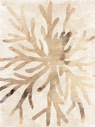 Framed Parchment Coral II Print