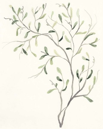 Framed Spindle Sprig I Print