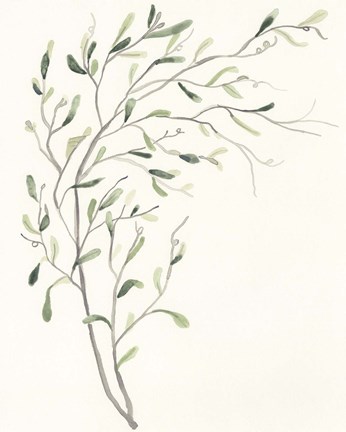 Framed Spindle Sprig II Print