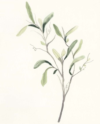 Framed Spindle Sprig III Print