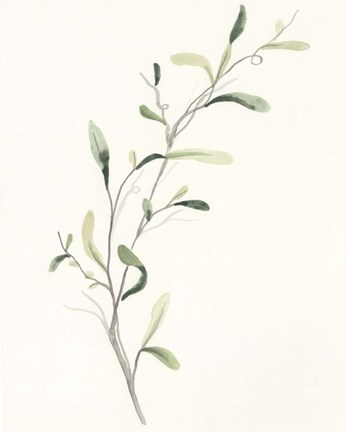 Framed Spindle Sprig IV Print