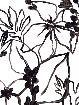 Framed Tropical Outlines III Print