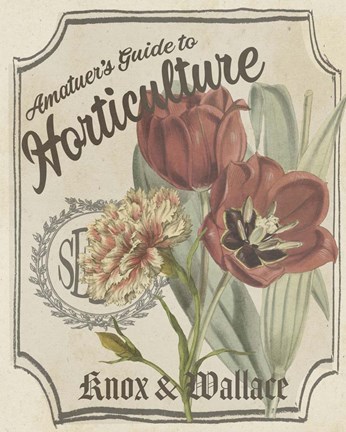 Collecting Vintage Seed Packets - Cottage style decorating