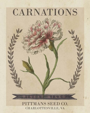 Framed Vintage Seed Packets V Print