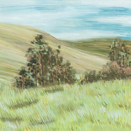 Framed Hill Lines IV Print