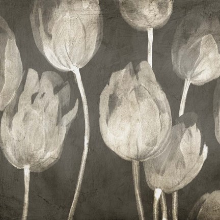 Framed Washed Tulips I Print