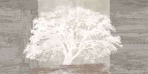 Framed White Tree Panel Print