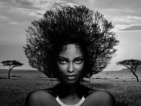 Framed Serengeti Queen Print