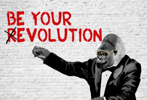 Framed (R)Evolution Print