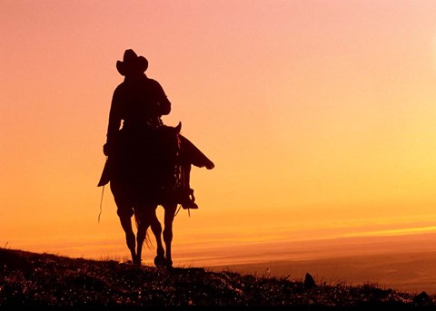 Framed Day&#39;s End Print