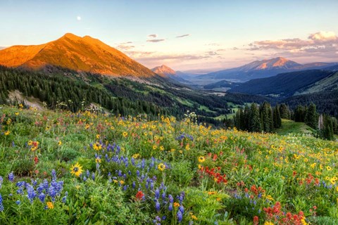 Framed Wildfire Moonrise Print