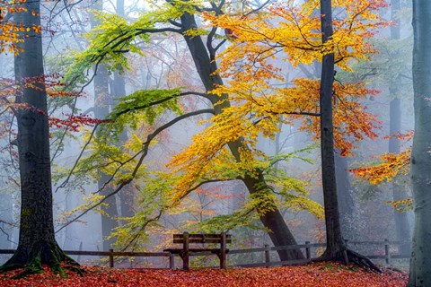 Framed Take A Seat And Enjoy Print