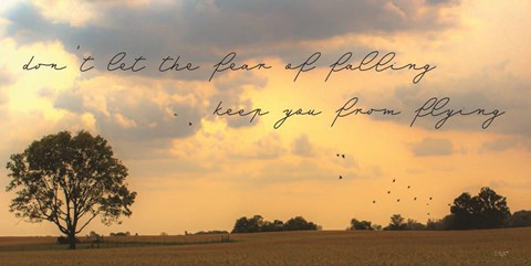 Framed Fear of Falling Print